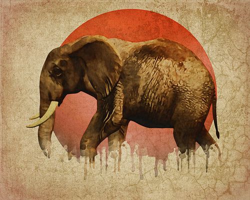 Klimaatverandering - Olifant wandelend