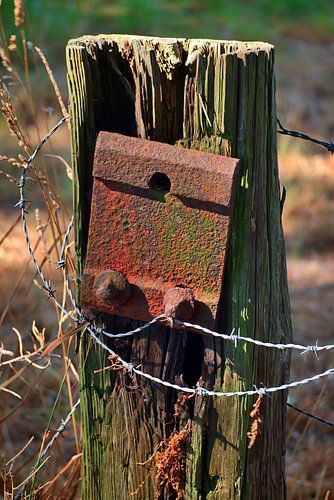 Roestig weidehekwerk