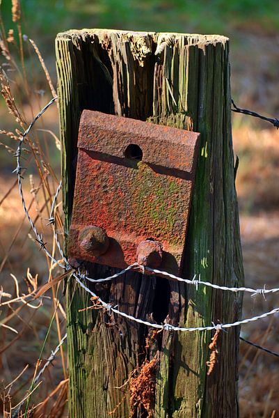 Ferrure de clôture rouillée par Edgar Schermaul