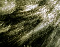 Danser au rythme du vent (photo ICM)