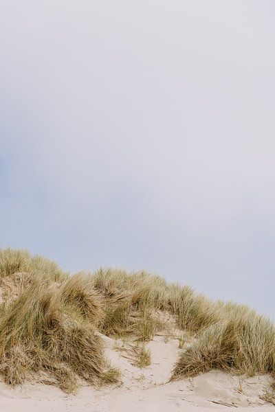 Texel-Dünen von Heleen Jacobse