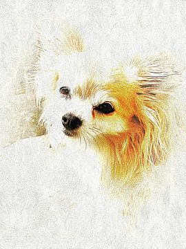 Photo Portrait Of A Long Haired Chihuahua by Dorothy Berry-Lound