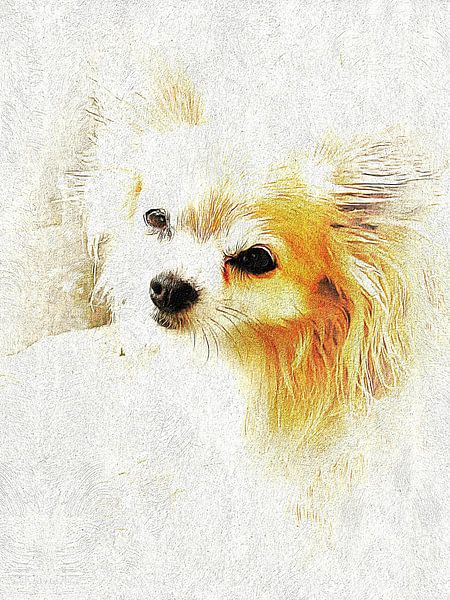 Photo Portrait Of A Long Haired Chihuahua by Dorothy Berry-Lound