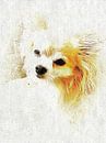 Photo Portrait Of A Long Haired Chihuahua by Dorothy Berry-Lound thumbnail