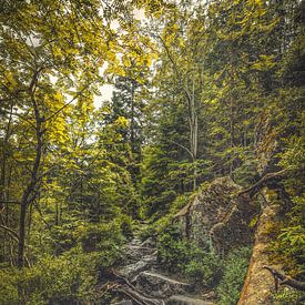 Weißes Elbtal [II] von rosstek ®