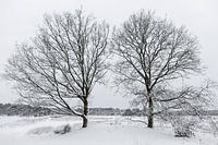 Winterlandschaft