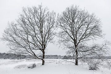 Winterlandschap van Dick Doorduin