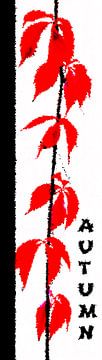 rode herfstbladeren gemengde techniek van Werner Lehmann
