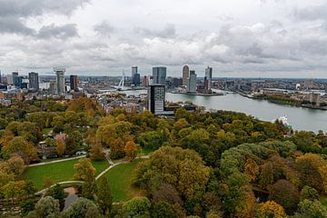 Uitzicht park en skyline Rotterdam vanaf de Euromast van Merijn Loch