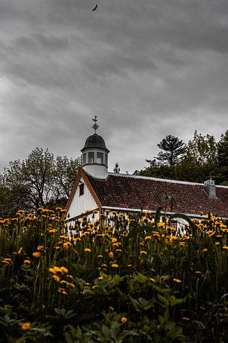 Une église à Trondheim par une journée nuageuse, avec un oiseau planant dans les airs. sur Koen Lipman