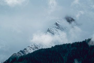 Eerste sneeuw in de nazomer in de Alpen van chamois huntress