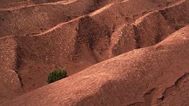 Beautiful Landscape of Agulo With Rolling Hills and Vibrant Natu by PhotoCluster