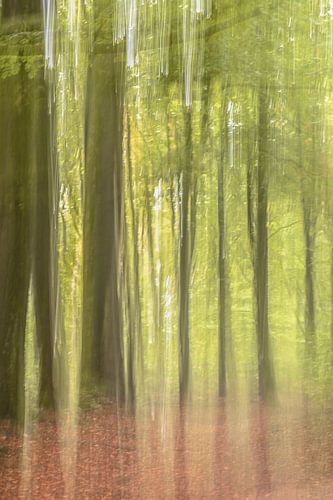 Renkums Beekdal part 11