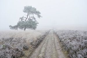Der Weg ins Unendliche