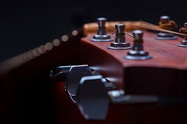 Guitar I by Leo van Valkenburg