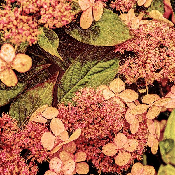 Digital Art Medium Blumen Alt von Hendrik-Jan Kornelis