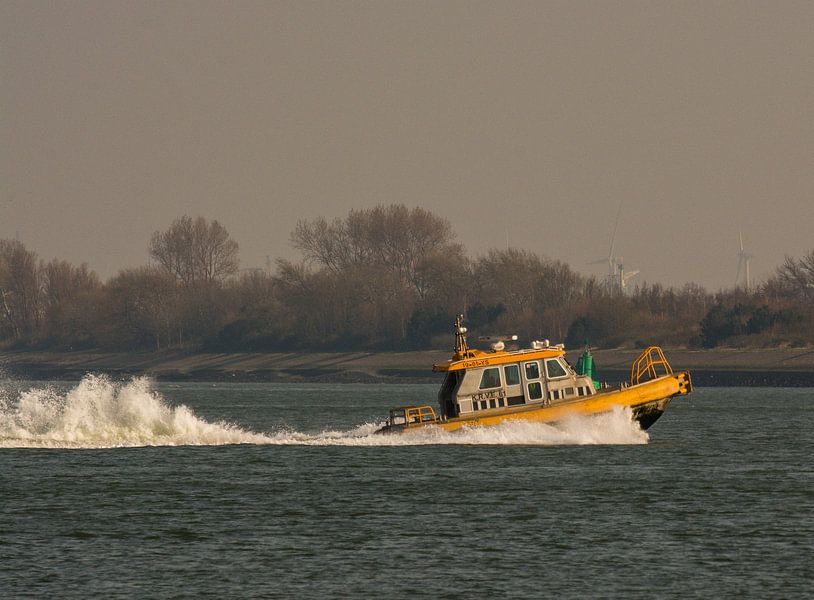 The rower on his way to the Europoort across the New Waterway. by scheepskijkerhavenfotografie