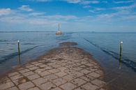 Noirmoutier du Gois in Frankrijk van Blond Beeld thumbnail