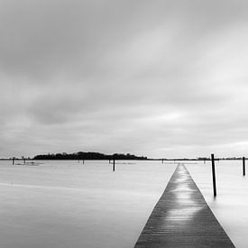 Vue de l'île aux oiseaux dans le lac noir sur Wilko Visscher