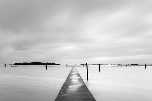 Zicht op het Vogeleiland in het Zwarte Meer