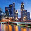 Skyline of Singapore van Ilya Korzelius