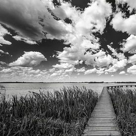 Boardwalk Roegwold Dannemeer Schildwolde in black and white by R Smallenbroek