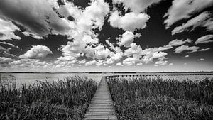Boardwalk Roegwold Dannemeer Schildwolde en noir et blanc