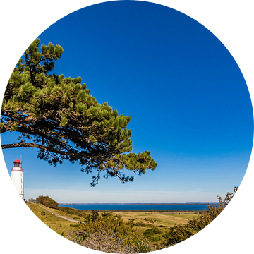 Vuurtoren Dornbusch op het eiland Hiddensee van Werner Dieterich