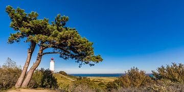 Vuurtoren Dornbusch op het eiland Hiddensee van Werner Dieterich