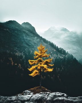 Herfst in de Alpen van fernlichtsicht