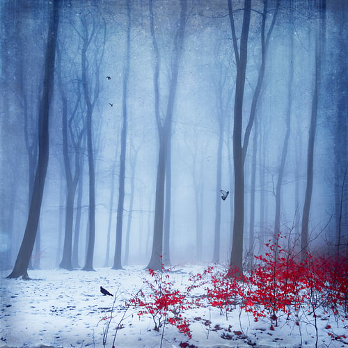 A snow-covered winter forest with red autumn leaves