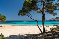 Cala Agulla near Cala Rajada, Mallorca by Peter Schickert thumbnail