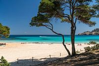 Cala Agulla bij Cala Rajada, Mallorca