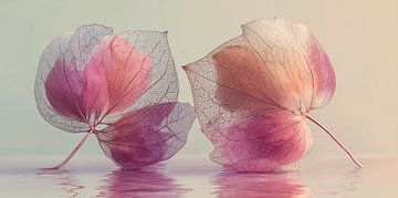 Gossamer Hearts Nr. 5