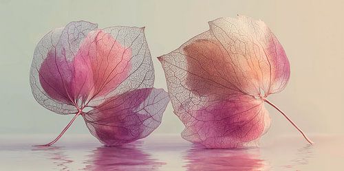 Gossamer Hearts no. 5