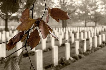 Canadian War Cemetery Groesbeek van Maerten Prins