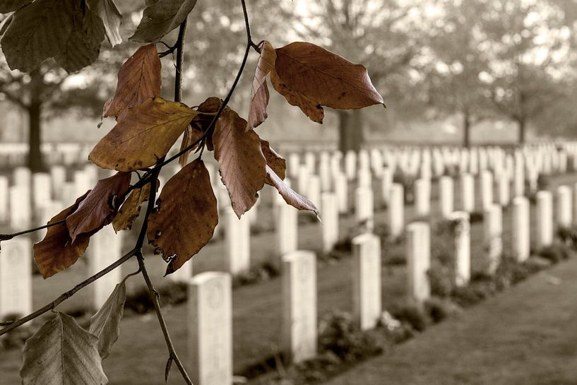 Canadian War Cemetery Groesbeek by Maerten Prins