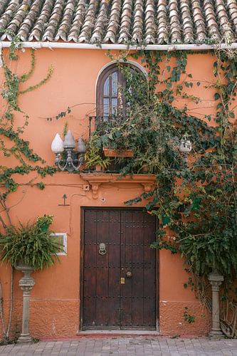 Mur coloré avec une belle porte