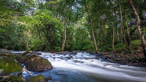 De Sluier van het Bakhuisgebergte