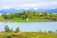 Malerische Szenerie auf Hinnøya - Norwegen par Gisela Scheffbuch Aperçu