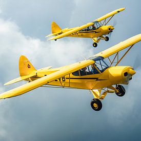 Avion Piper Super Cub en formation sur Planeblogger