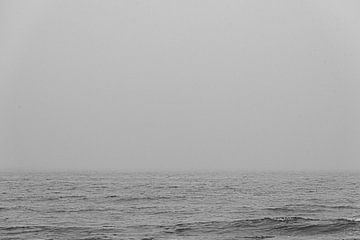 Brouillard marin émergeant sur Bart Lindenhovius