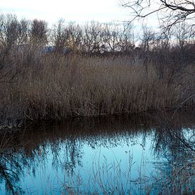Naturschutzgebiet bei Valencia von Delphine Kesteloot