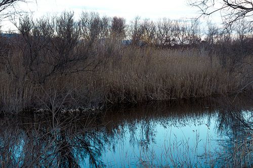 natuurgebied nabij Valencia