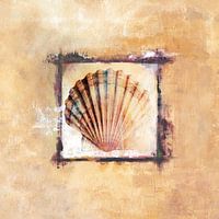 Shell 1