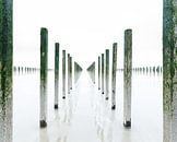 Symmetrie van mosselpalen in high key | Opaalkust, Frankrijk van Sjaak den Breeje thumbnail