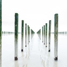 Symmetrie van mosselpalen in high key | Opaalkust, Frankrijk van Sjaak den Breeje