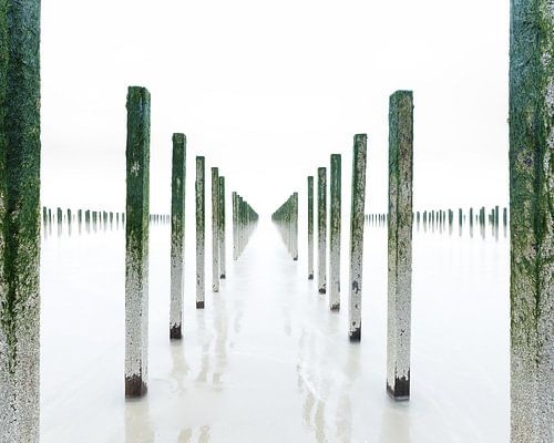 Symétrie des pôles de moules en clé de voûte | Côte d'Opale, France