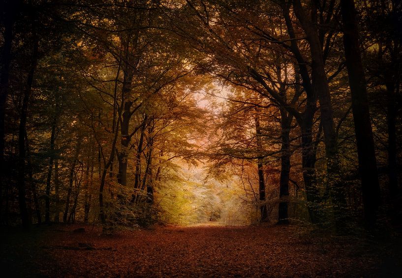 Herbstwald 1 von Aline Nijland