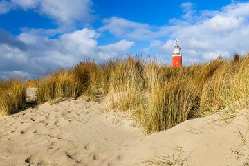 Uitzicht op de vuurtoren van Texel van Daniela Beyer